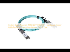 تجميع كابل مخصص 200G QSFP-DD DAC    كابل النحاس عالي السرعة لمراكز البيانات ، تأخير منخفض ، وصلة وتشغيل